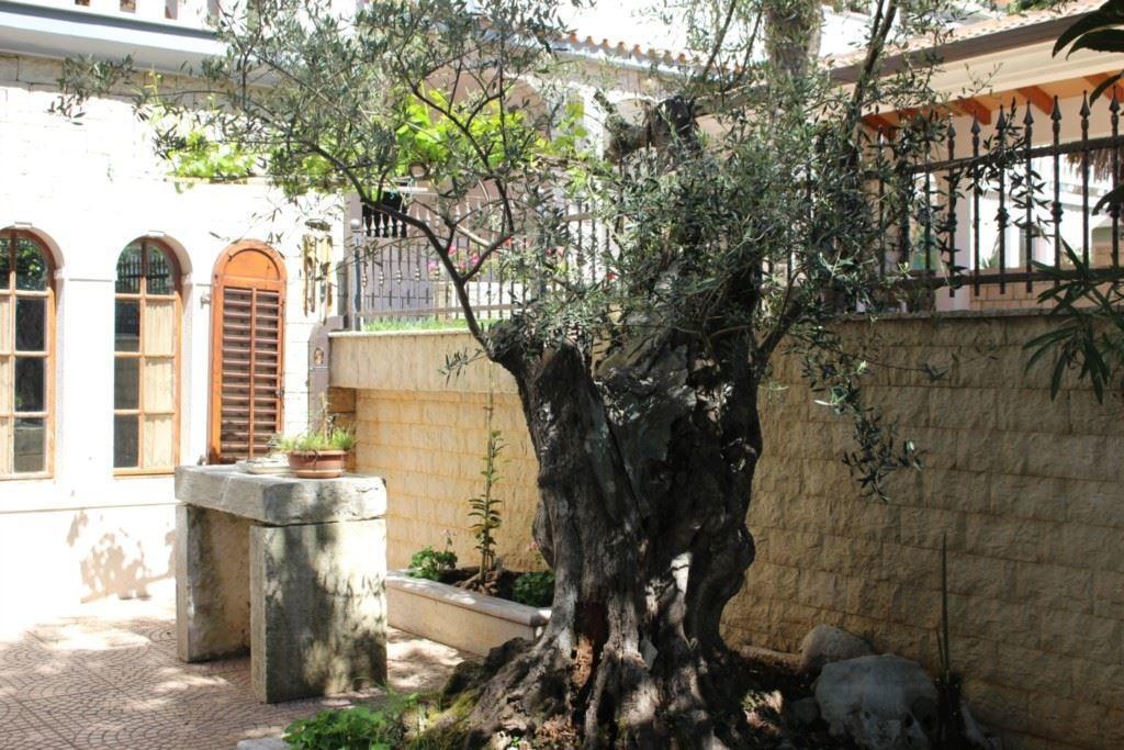 Apartment Maras Poreč Rom bilde